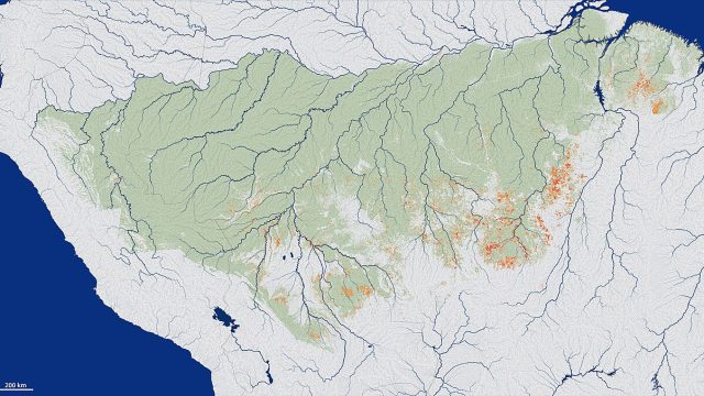 Amazonas registra 540 focos de incêndio em 48 horas