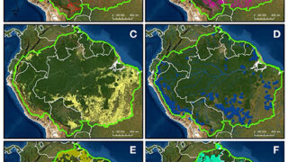 Defesa Civil Nacional reconhece emergência por incêndio florestal em 36 cidades