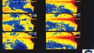 El Niño pode ganhar intensidade muito forte e agravar a seca no Amazonas