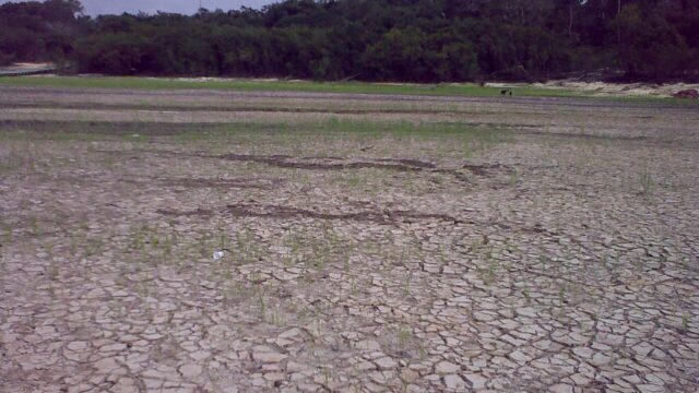 Governo estima que até 648 mil pessoas podem ser afetadas pela estiagem