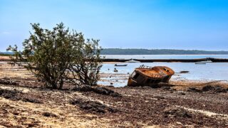 Seca avança e 29 municípios do Amazonas já estão em situação de emergência